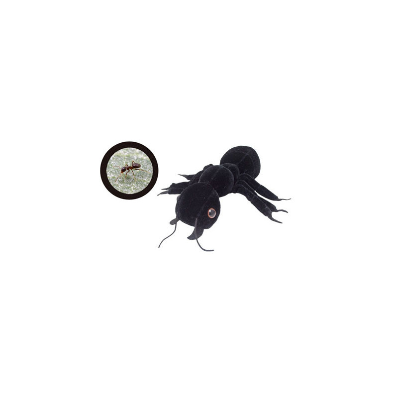 peluche fourmi noire