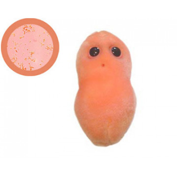 peluche microbe acné giantmicrobes