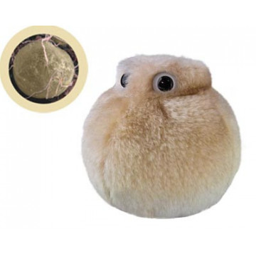 peluche microbes adipocite giantmicrobes