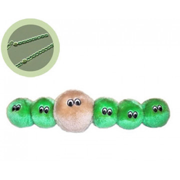 Peluche Microbe - Les...