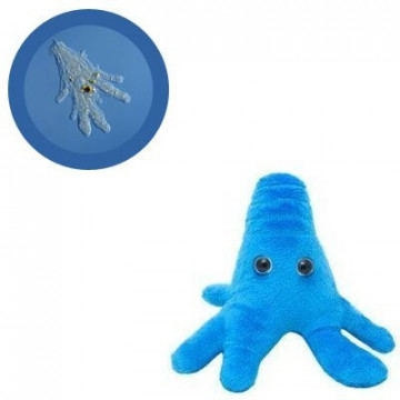 amibe giantmicrobes