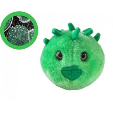 peluche microbes chlamydiose giantmicrobes