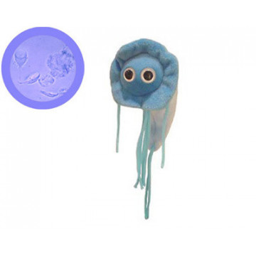 peluche microbes giardia giantmicrobes