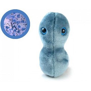 gonorrhee peluche microbes giantmicrobes
