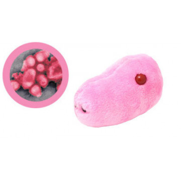 grippe A peluche microbe giantmicrobes