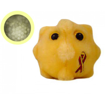 Peluche Microbe - L'hépatite