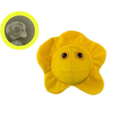 Le Pou - Peluche Giantmicrobes