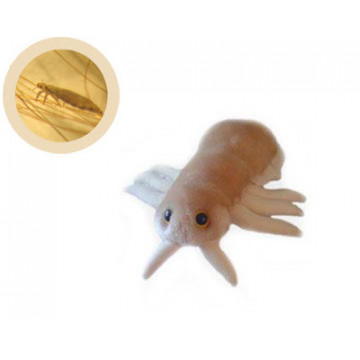 Peluche microbe du bactériophage T4