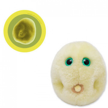 peluche microbe rhume des foins giantmicrobes