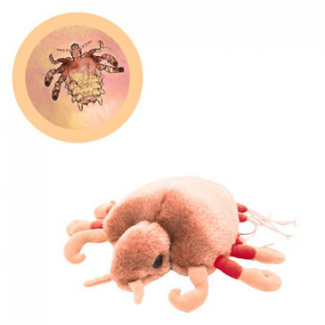 peluche microbe morpion