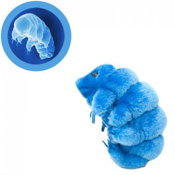 ourson d'eau peluche microbe giantmicrobes