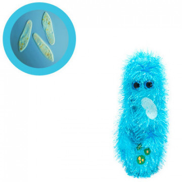 peluche microbe paramecium giantmicrobe Paramecium caudatum