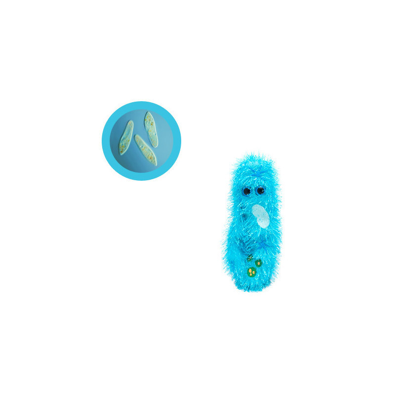peluche microbe paramecium giantmicrobe Paramecium caudatum