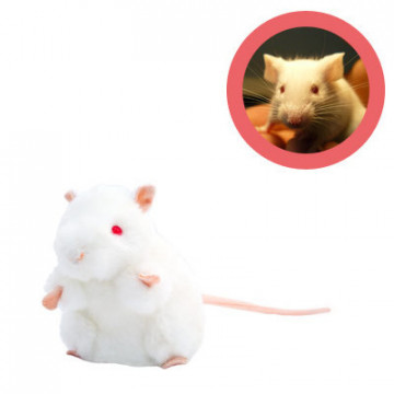 lab mouse giantmicrobes
