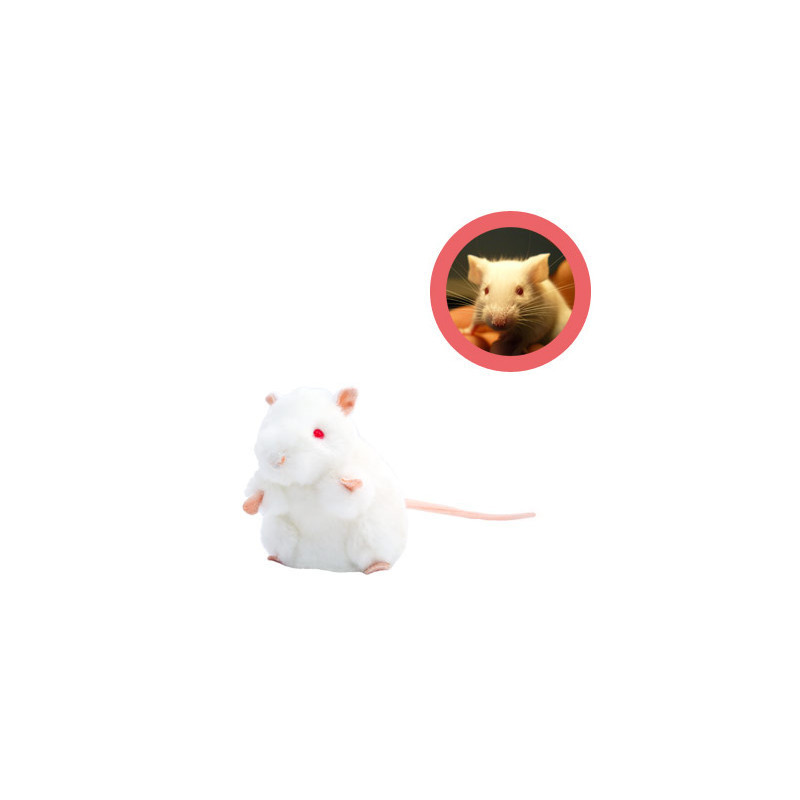 Peluche souris de laboratoire Giantmicrobes Balb c
