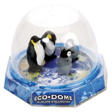 eco dome pingouin