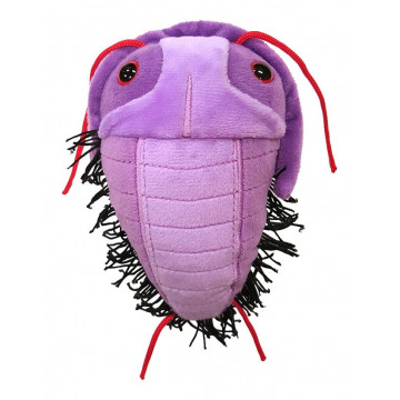 peluche giantmicrobes trilobite