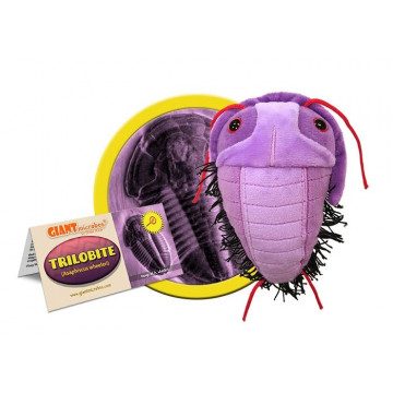 Giant sale microbes uk