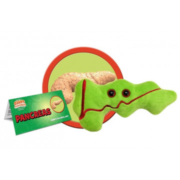 Giantmicrobes Pancrease