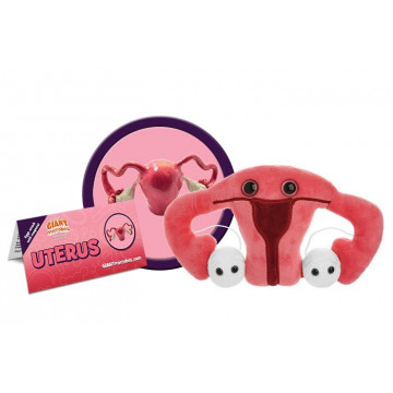 giantmicrobes uterus