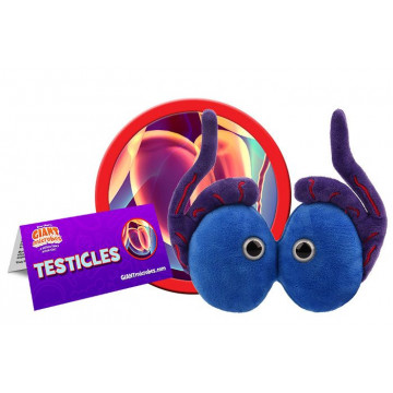 giantmicrobes testicles