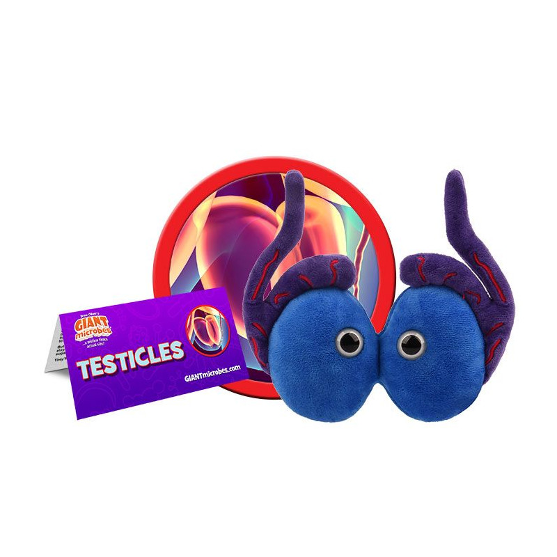 giantmicrobes testicles