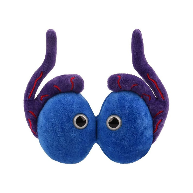 Peluche des testicules