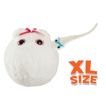 peluche ovule XL avec mini spermatozoïde magnétique