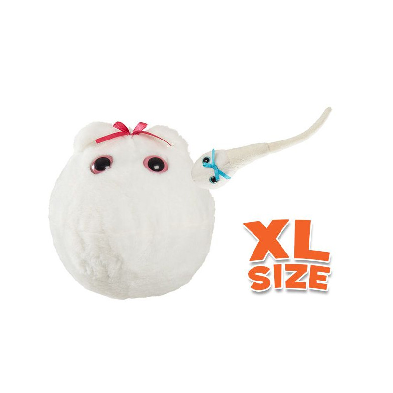 peluche ovule XL avec mini spermatozoïde magnétique