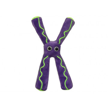 peluche chromosome