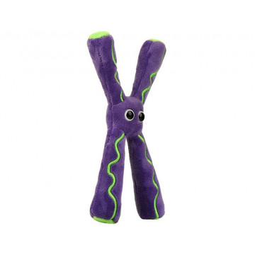 peluche chromosome