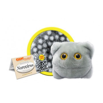 Peluche Norovirus