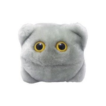 copy of MRSA - Peluche...