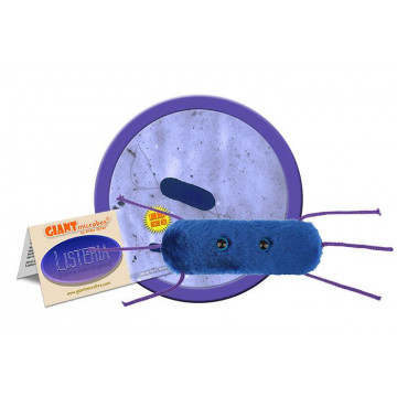 Peluche Listériose Giantmicrobe