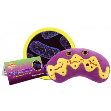 Peluche Mitochondrie giantmicrobes