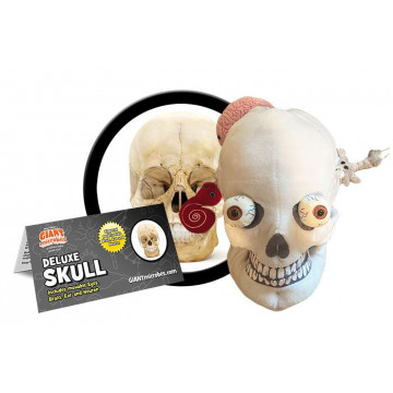 Giantmicrobes Deluxe Skull with Minis