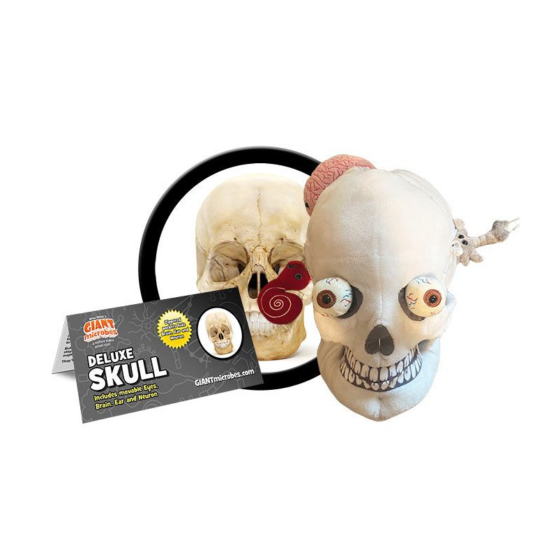 Giantmicrobes Deluxe Skull with Minis
