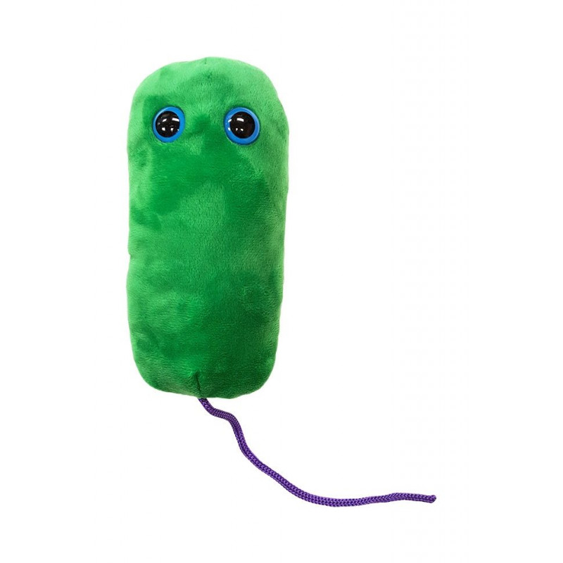 Peluche de la maladie du légionnaire (Legionella pneumophila)