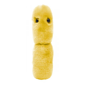 Peluche Lactobacillus acidophilus