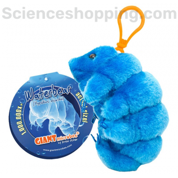 copy of MRSA - Peluche...