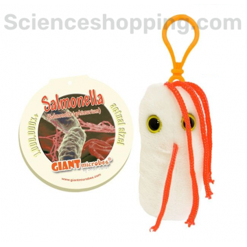 Salmonella Key Chain