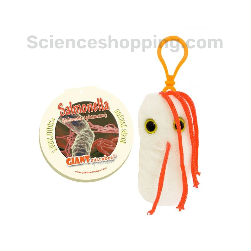 Peluche Salmonella Key Chain