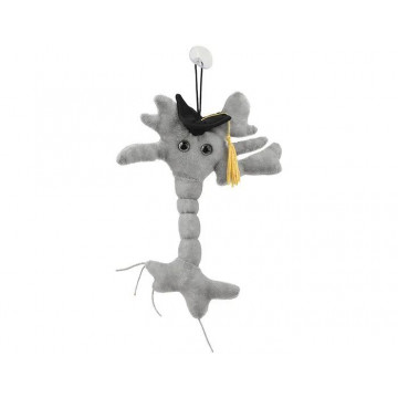 Peluche neurone diplomé